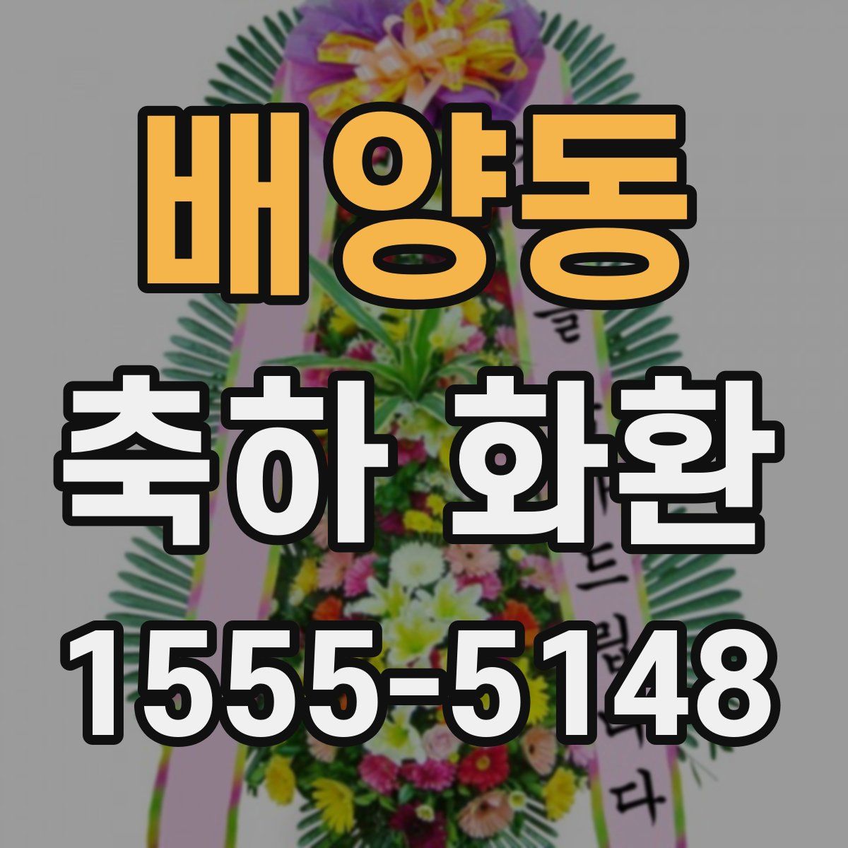 배양동 축하 화환