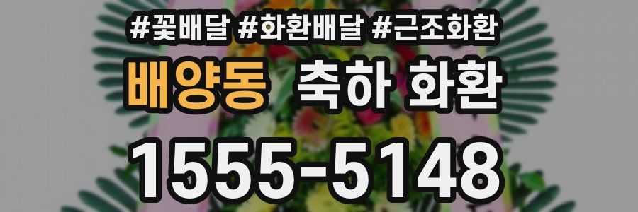배양동 축하 화환