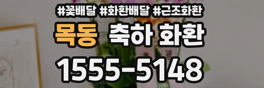 목동 축하 화환