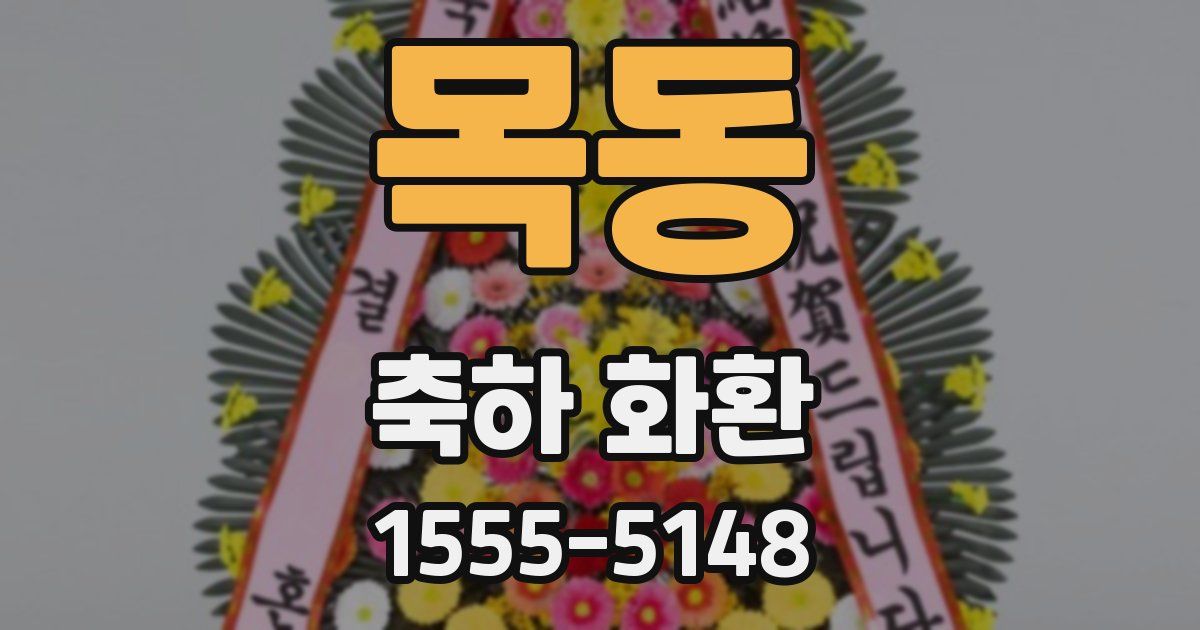 목동 축하 화환