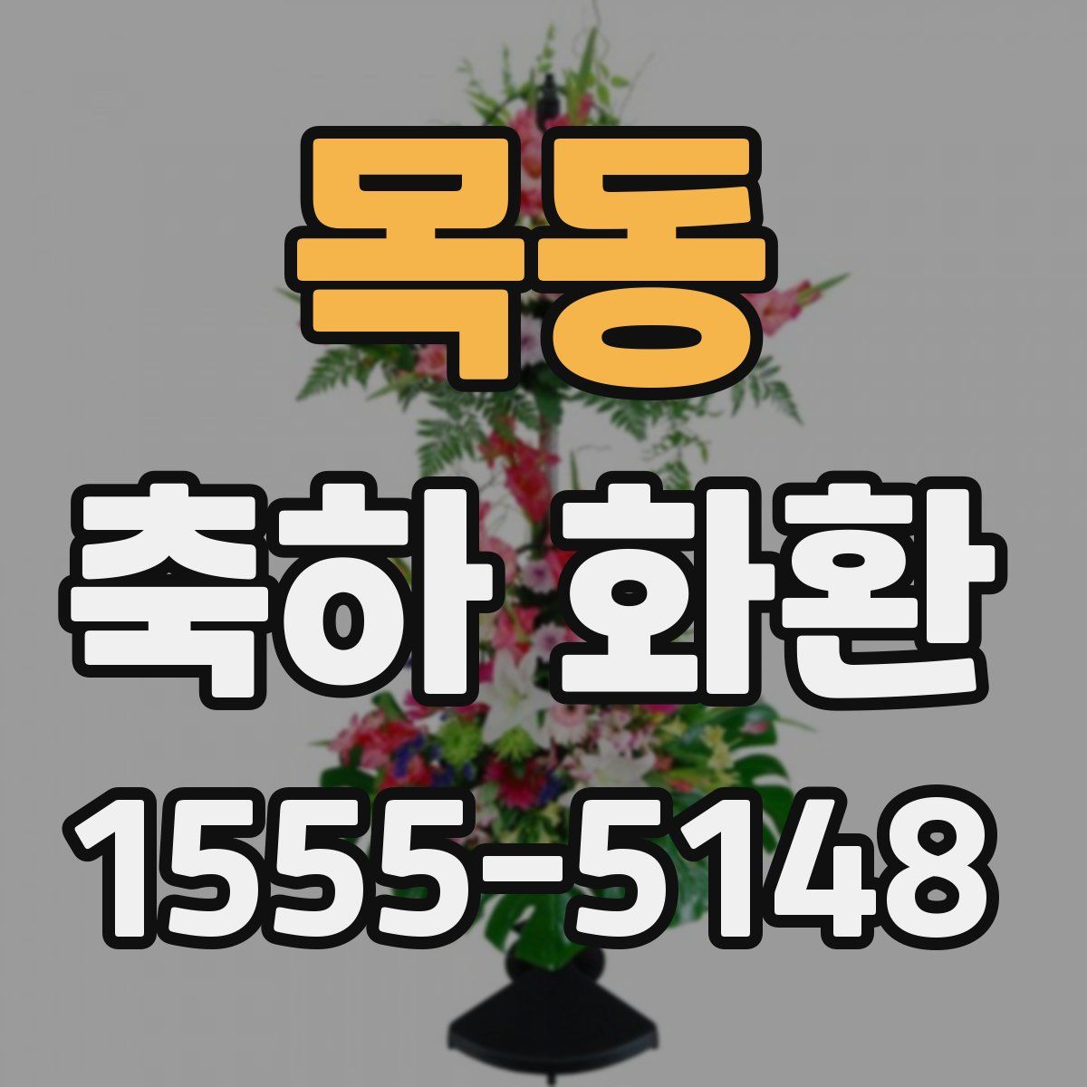 목동 축하 화환