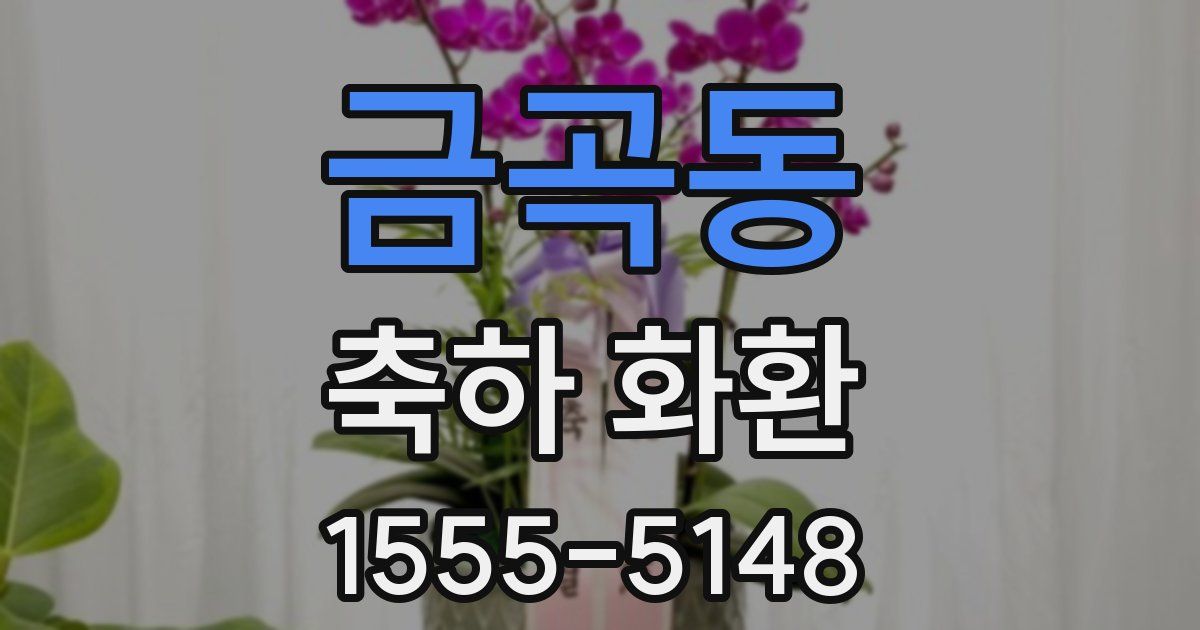 금곡동 축하 화환
