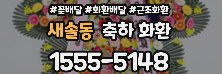 새솔동 축하 화환