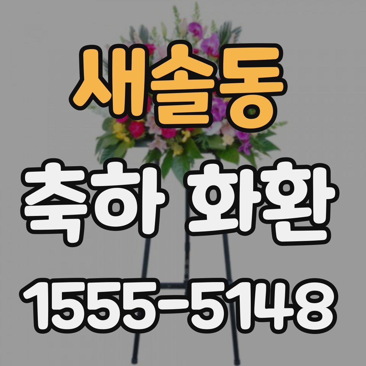새솔동 축하 화환