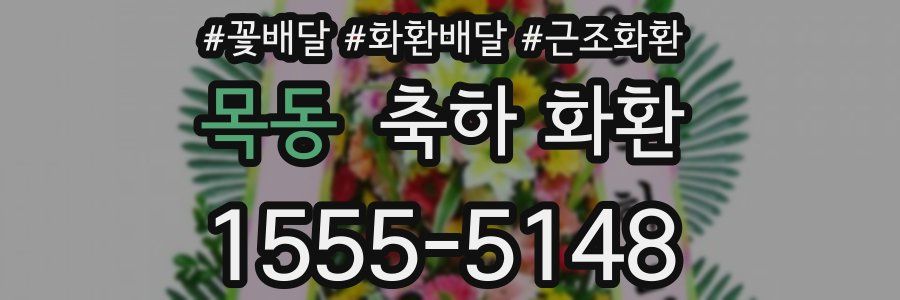 목동 축하 화환