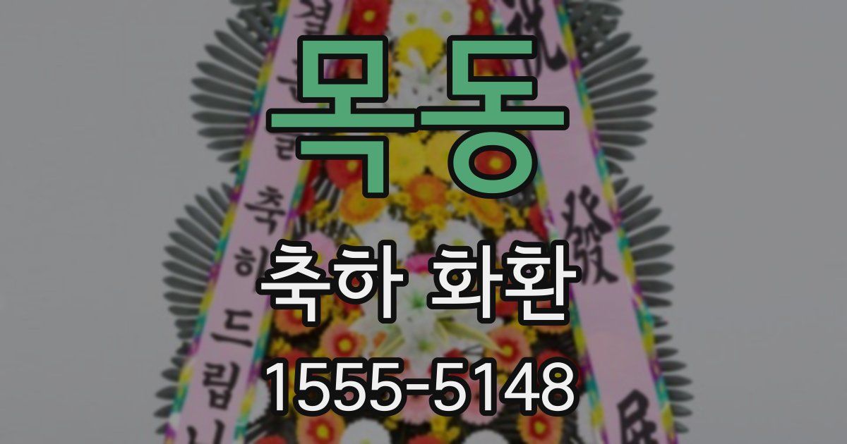 목동 축하 화환