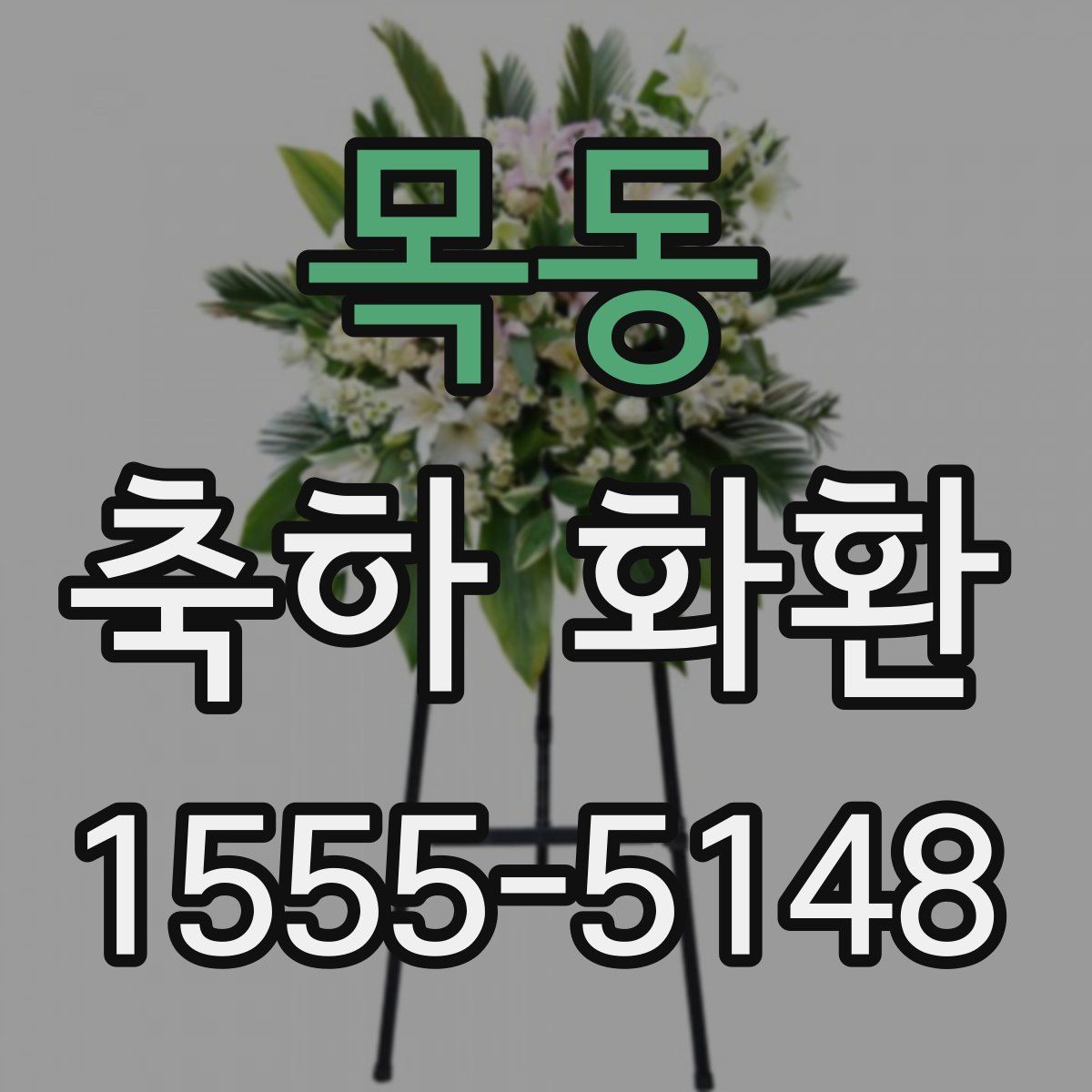 목동 축하 화환