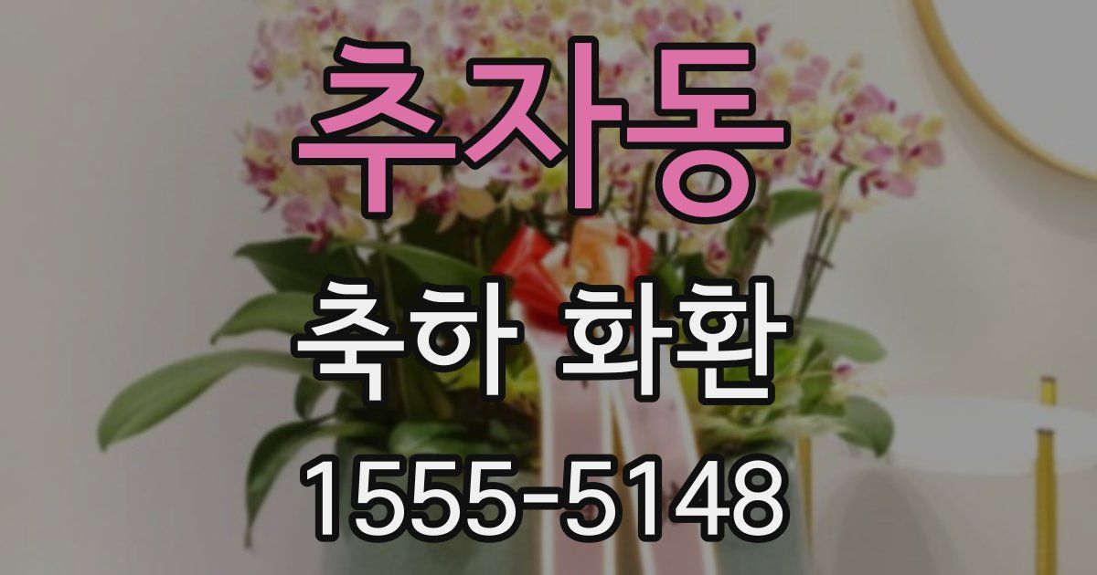추자동 축하 화환