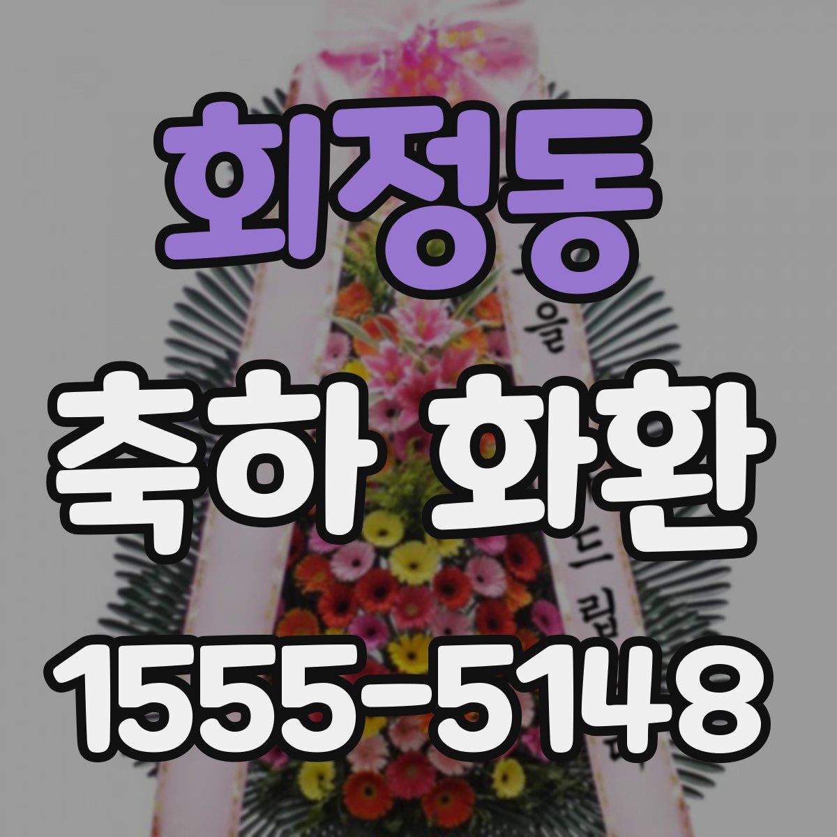 회정동 축하 화환