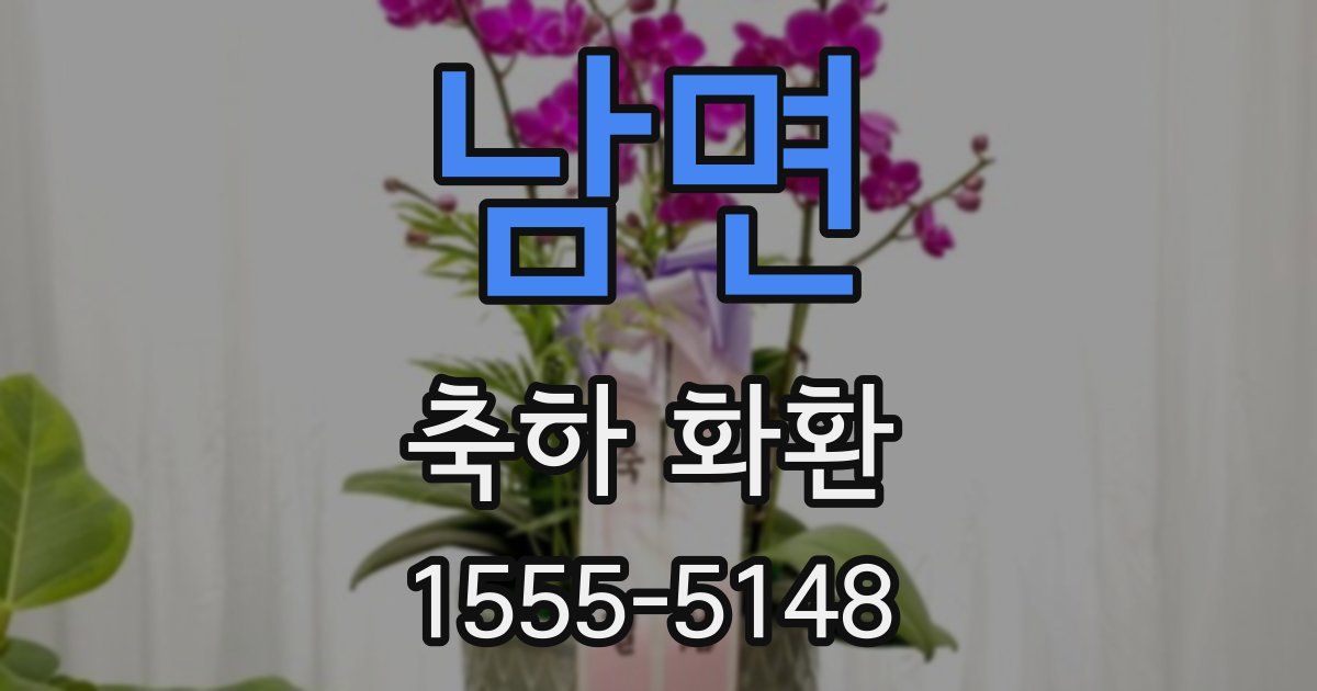 남면 축하 화환