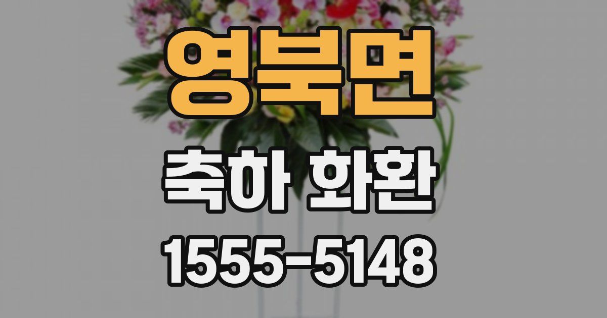 영북면 축하 화환