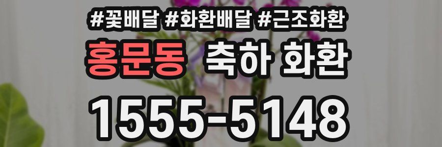 홍문동 축하 화환