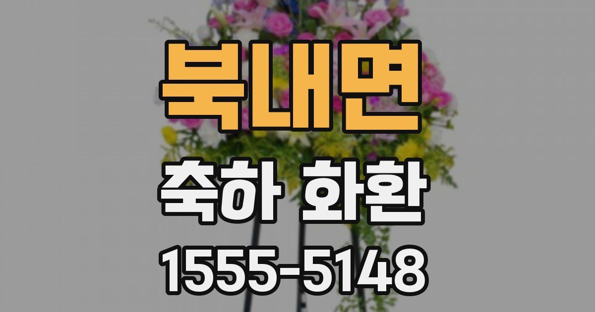 북내면 축하 화환