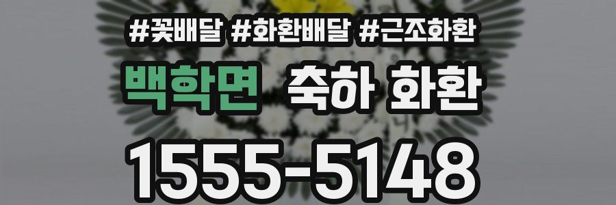 백학면 축하 화환