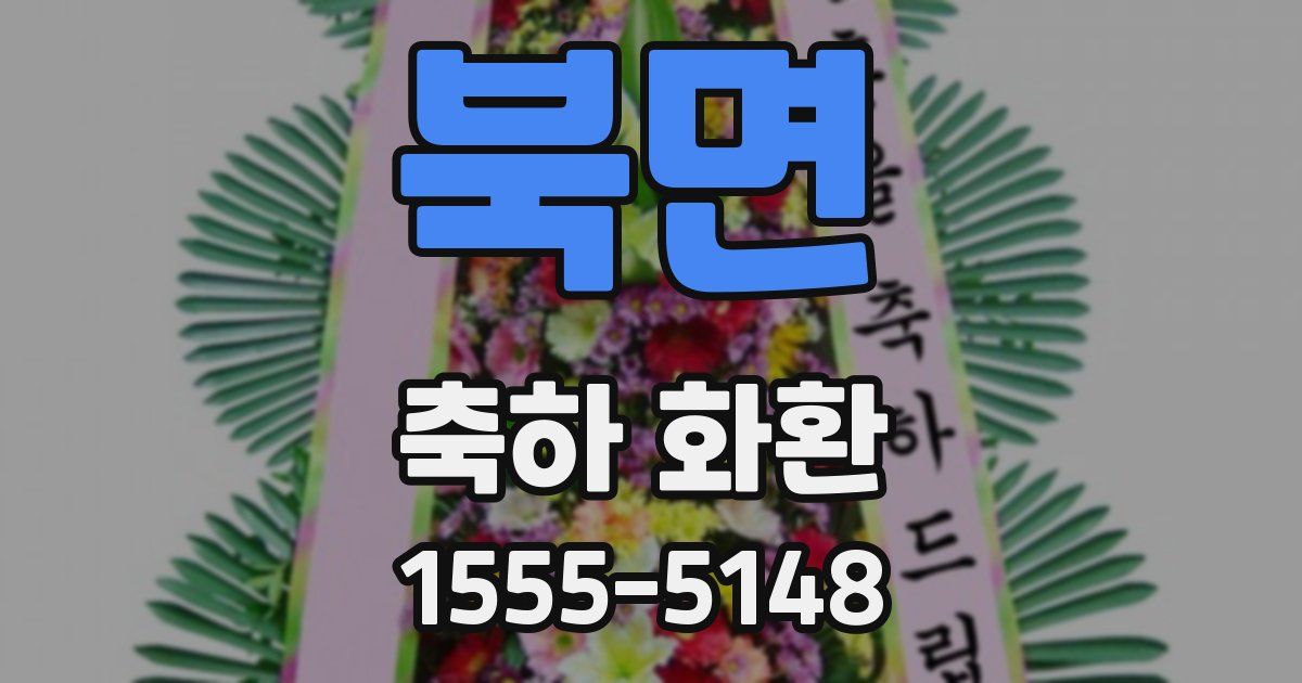 북면 축하 화환