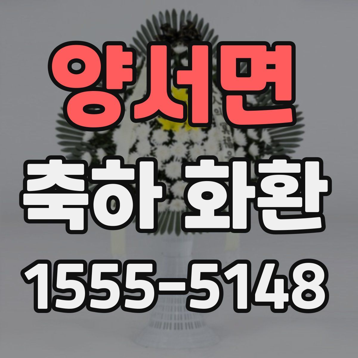 양서면 축하 화환