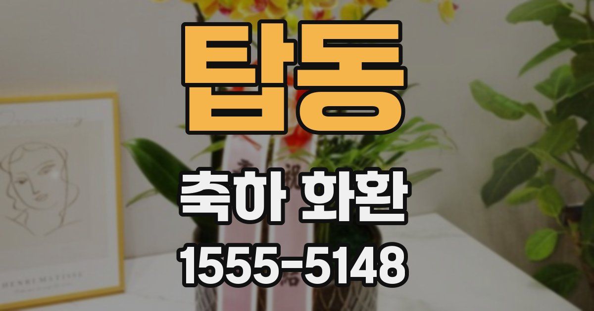 탑동 축하 화환