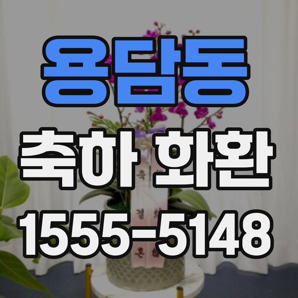 용담동 축하 화환