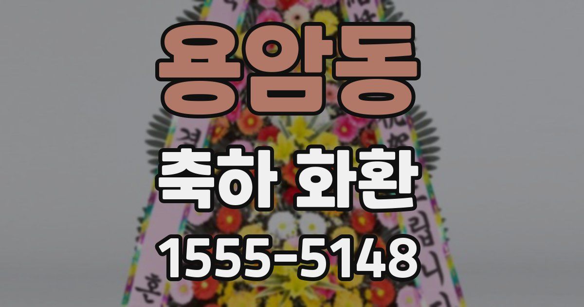 용암동 축하 화환