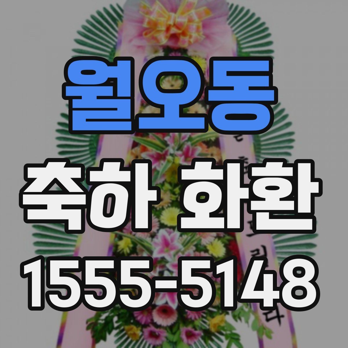월오동 축하 화환 주문 전 알아두면 좋은 기준