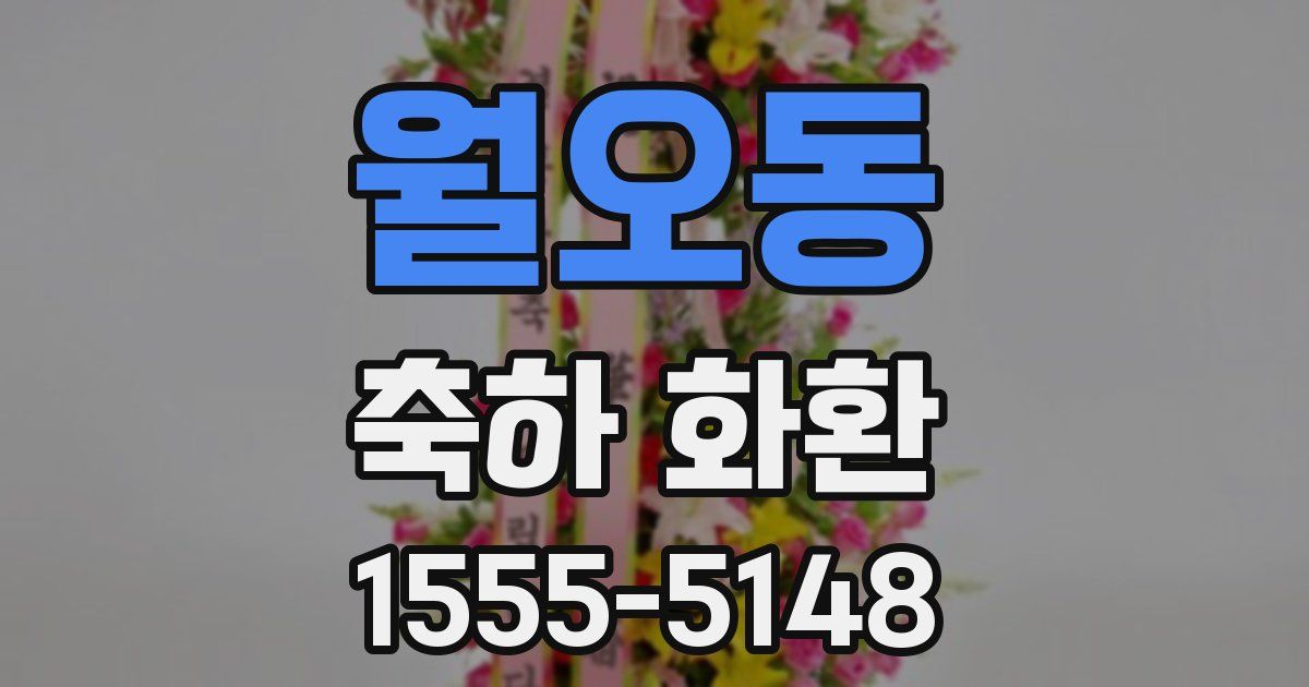 월오동 축하 화환