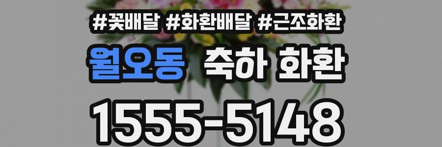 월오동 축하 화환
