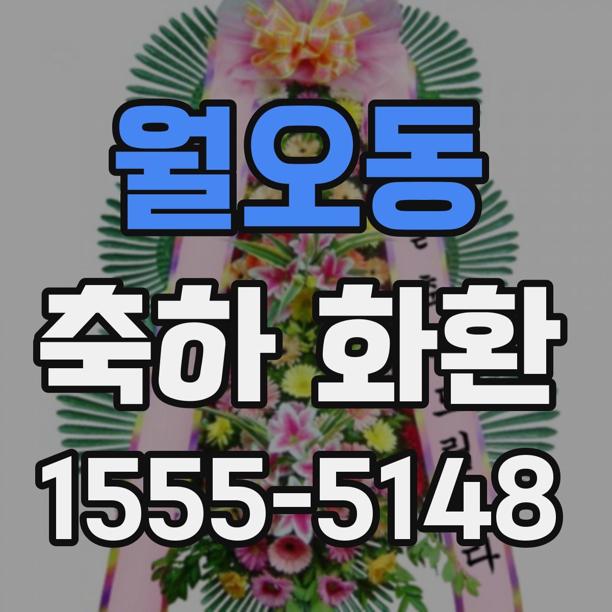 월오동 축하 화환
