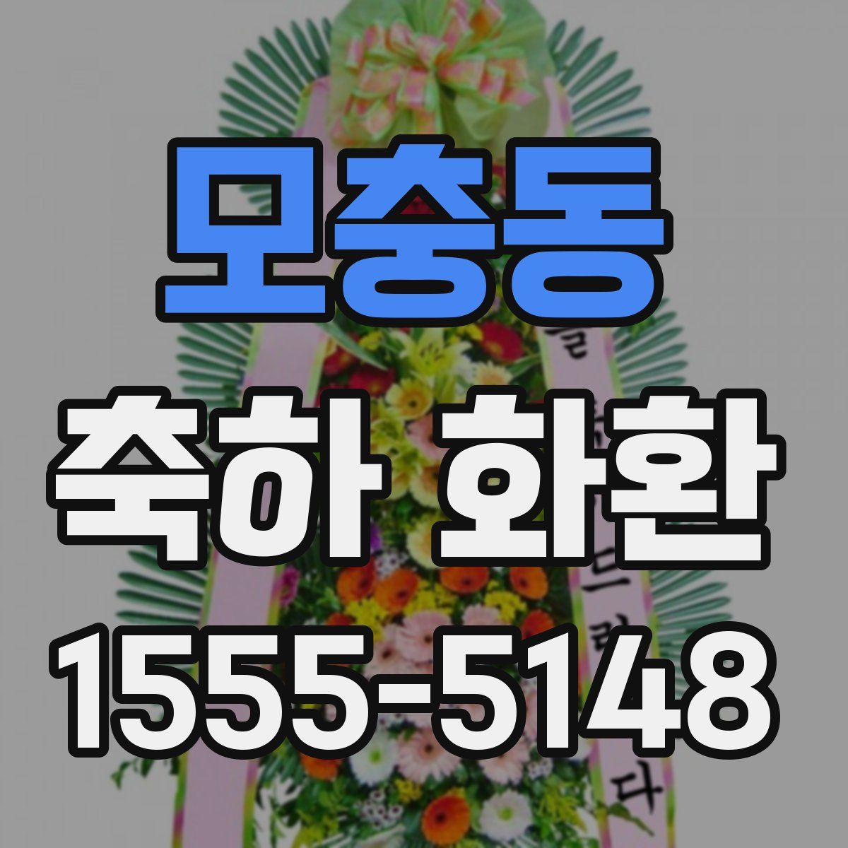 모충동 축하 화환