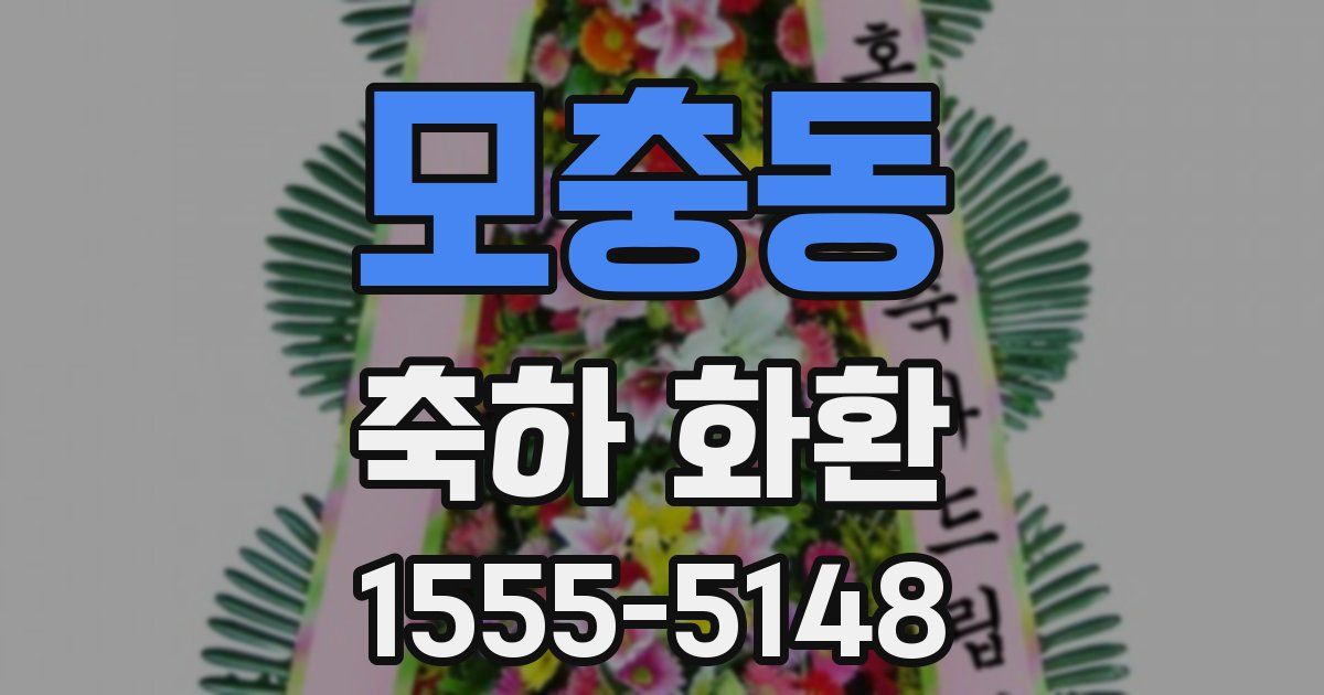 모충동 축하 화환