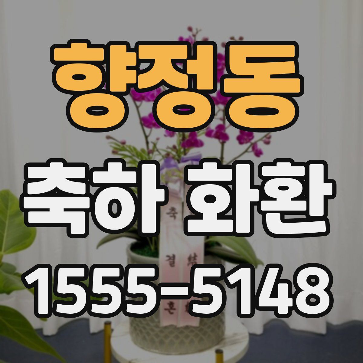 향정동 축하 화환