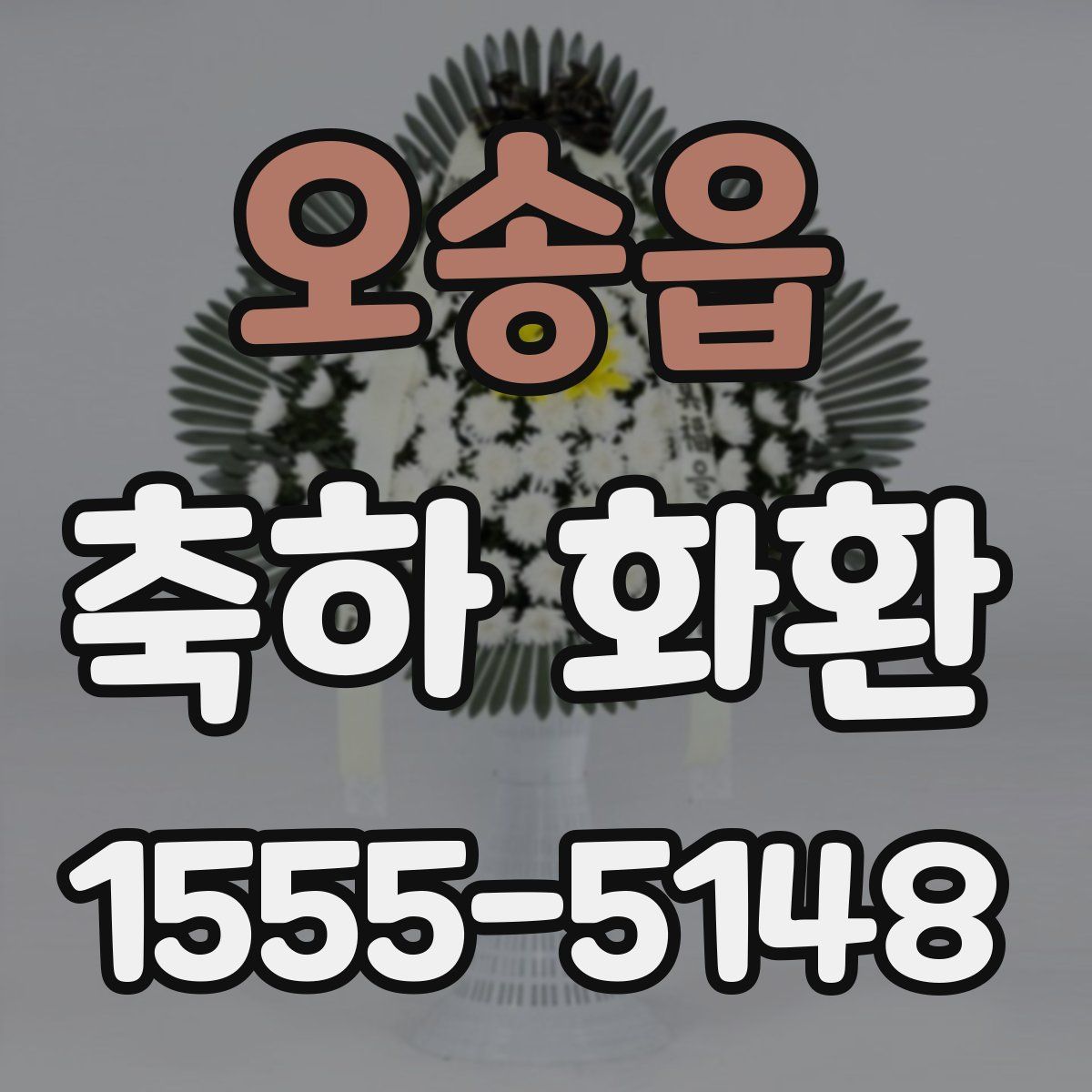 오송읍 축하 화환