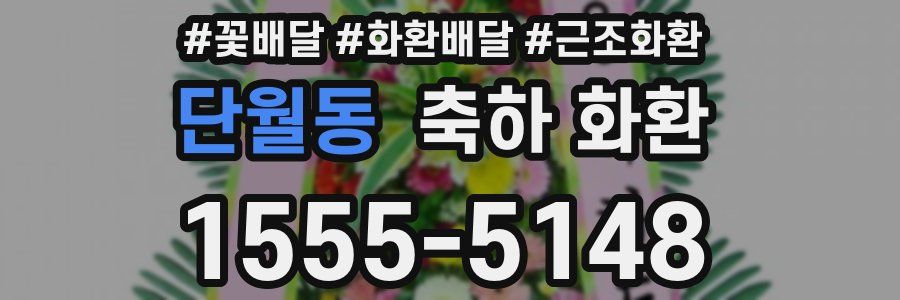 단월동 축하 화환