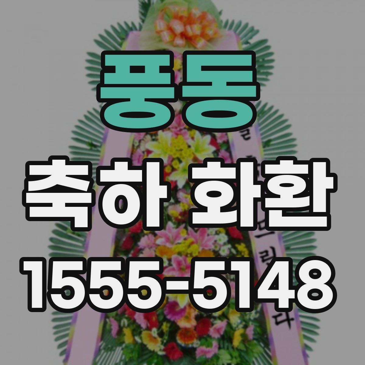 풍동 축하 화환