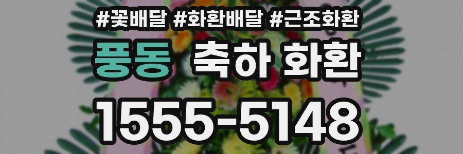 풍동 축하 화환