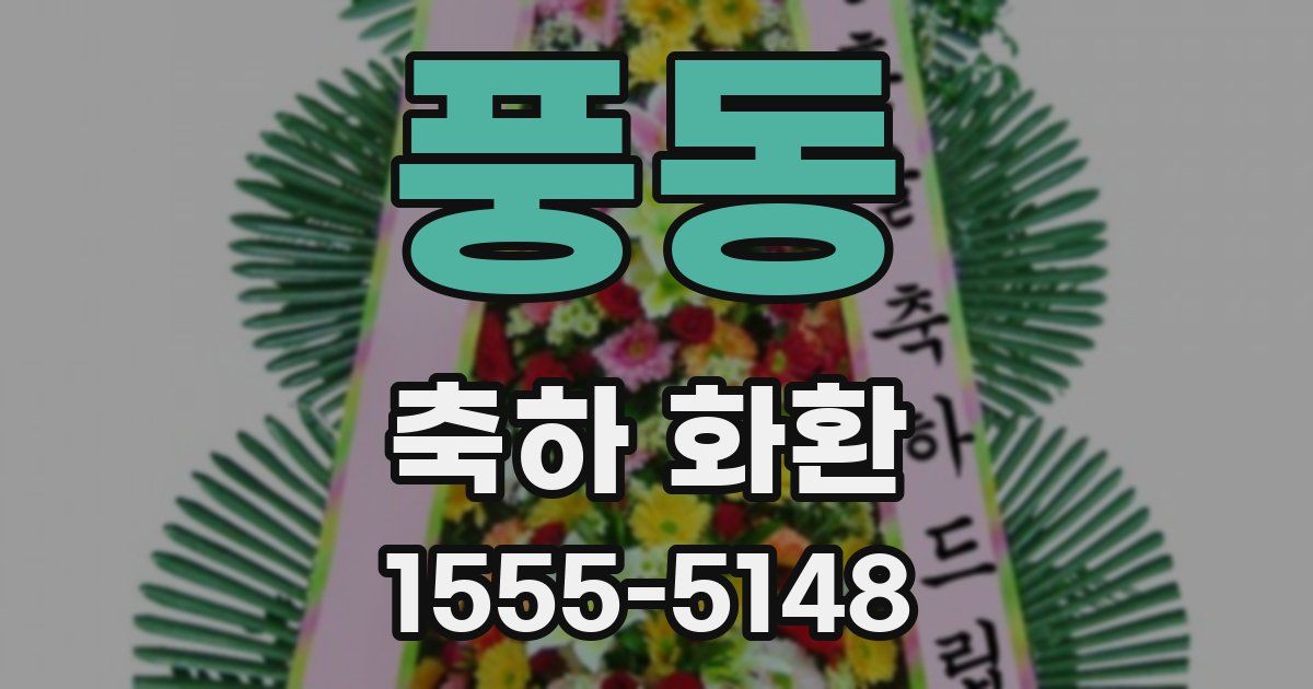 풍동 축하 화환