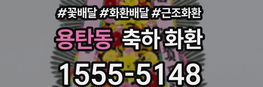 용탄동 축하 화환