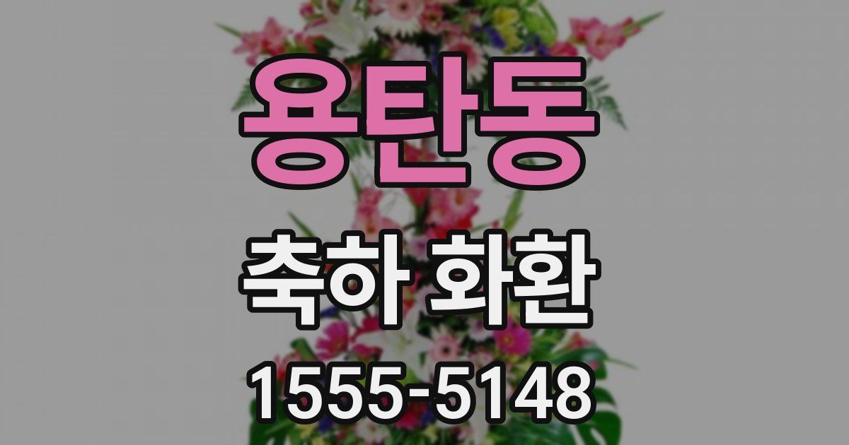 용탄동 축하 화환