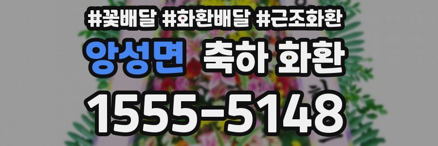 앙성면 축하 화환