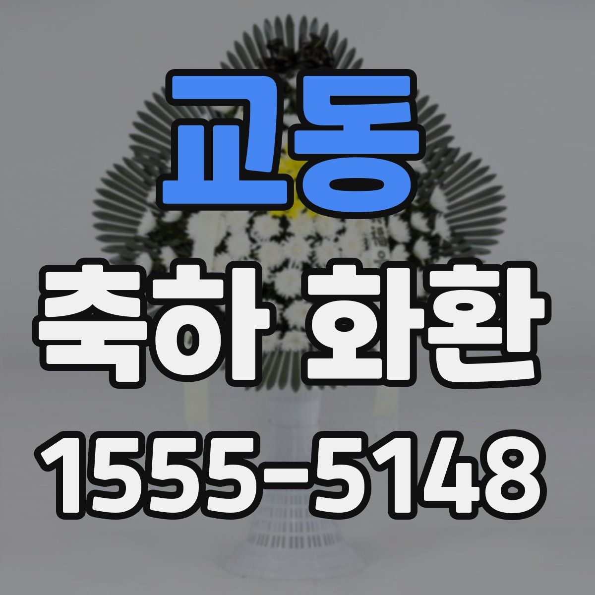 교동 축하 화환