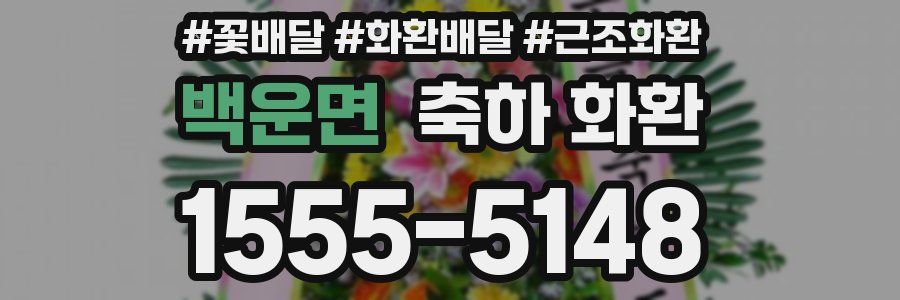 백운면 축하 화환