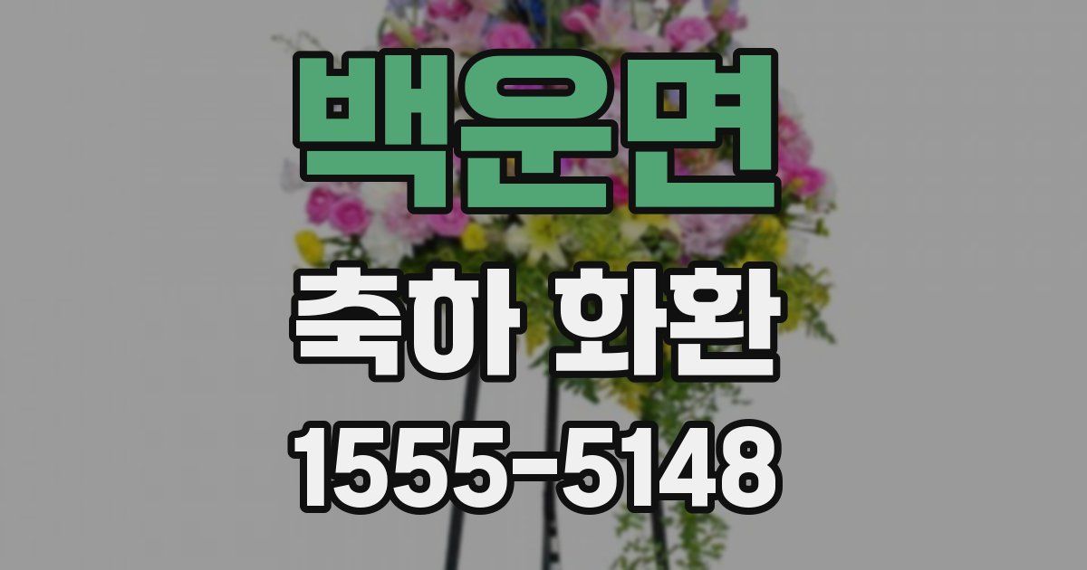 백운면 축하 화환