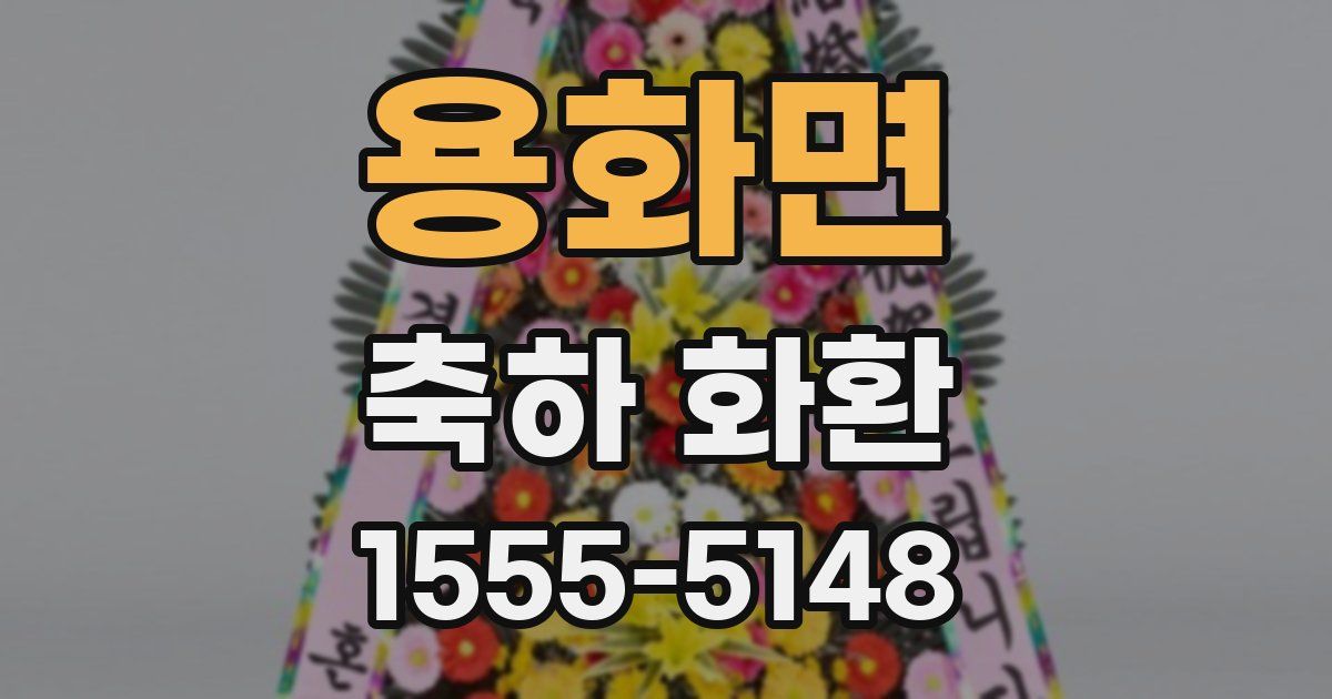 용화면 축하 화환