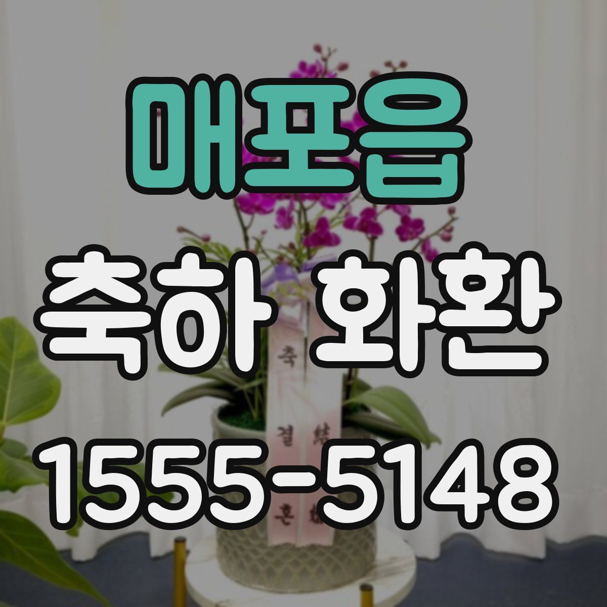 매포읍 축하 화환