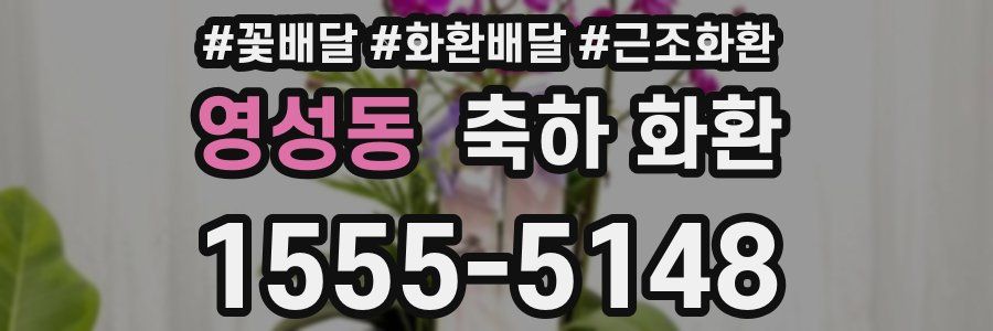 영성동 축하 화환