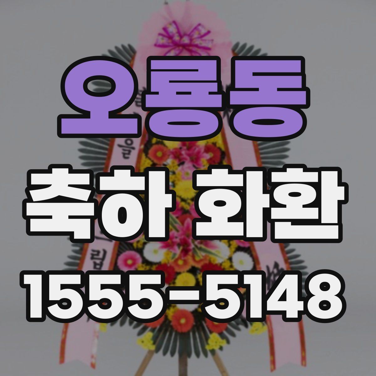 오룡동 축하 화환 계열 행사에 어울리는 스타일 비교