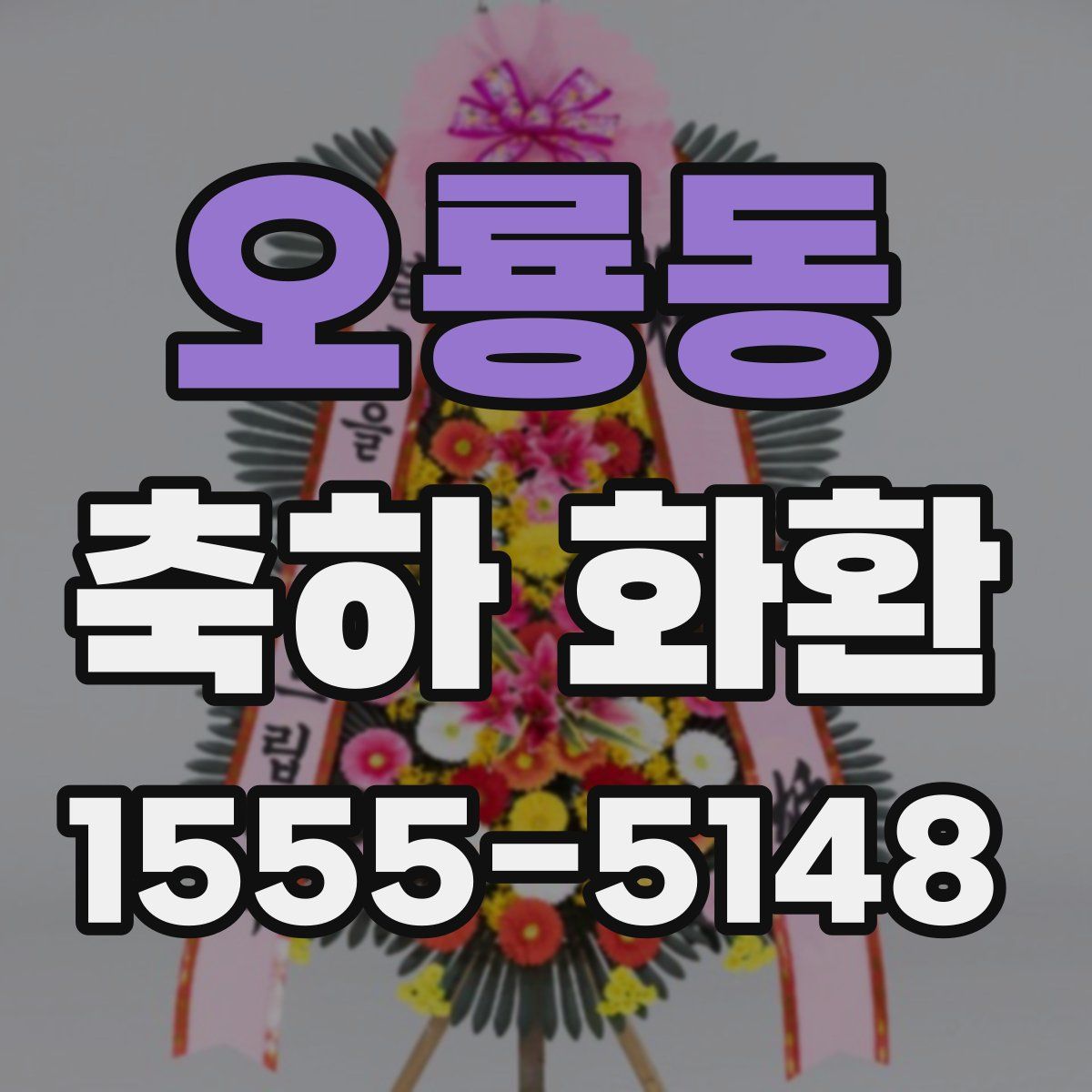 오룡동 축하 화환