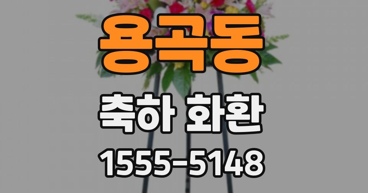 용곡동 축하 화환