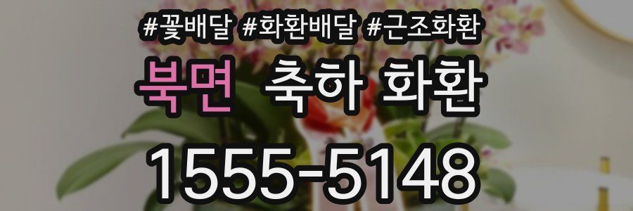 북면 축하 화환