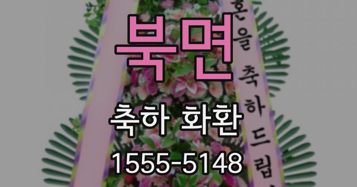 북면 축하 화환