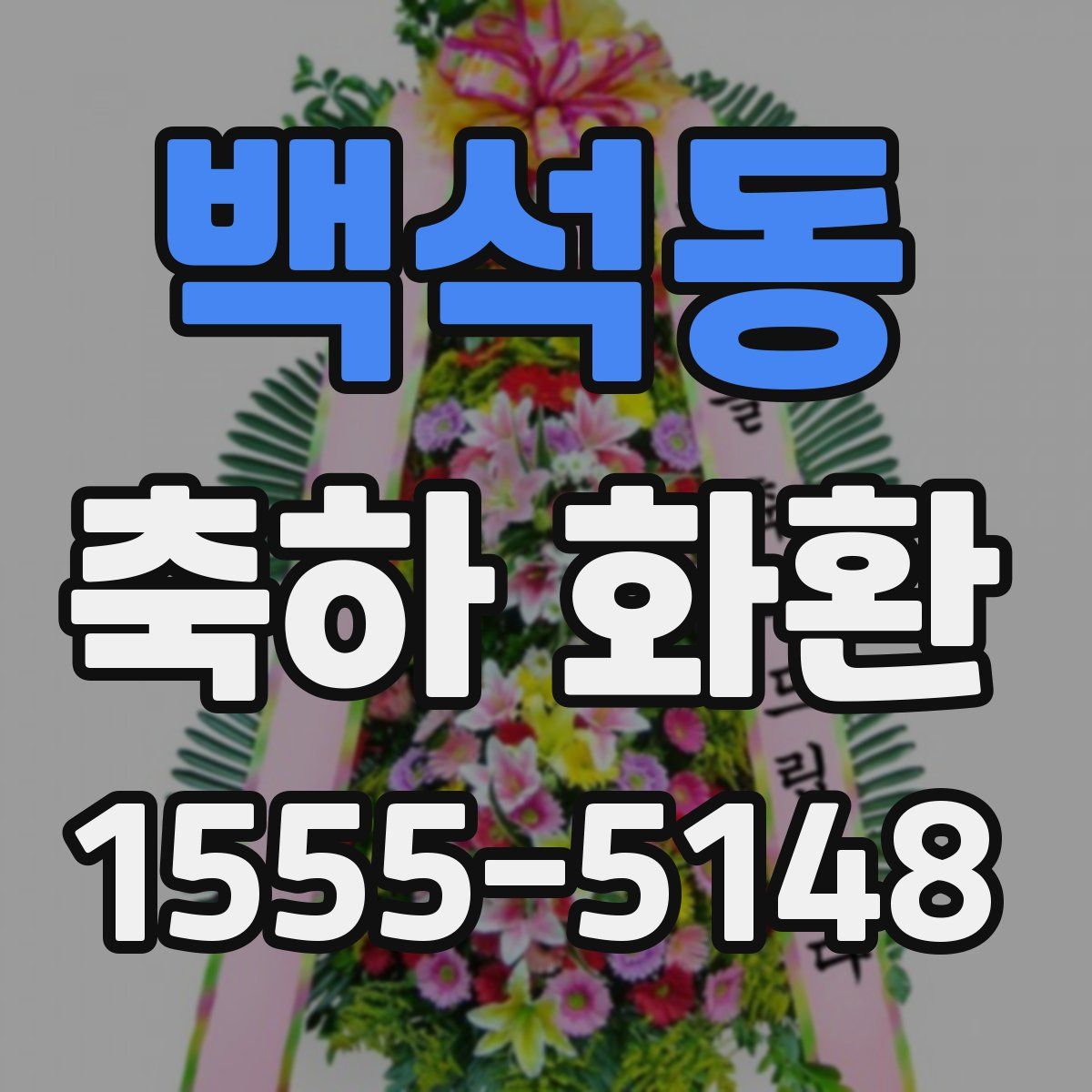 백석동 축하 화환